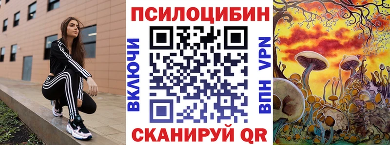 Псилоцибиновые грибы Cubensis  Санкт-Петербург 